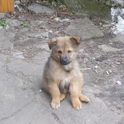 zdjecie w liście aktualnosci