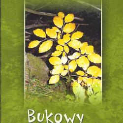 zdjecie w liście aktualnosci