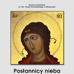 zdjecie w liście aktualnosci