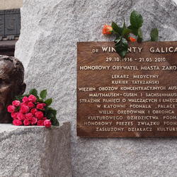 zdjecie w liście aktualnosci