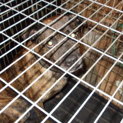 zdjecie w liście aktualnosci