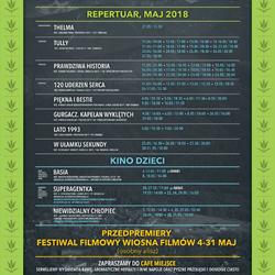 zdjecie w liście aktualnosci