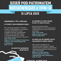 zdjecie w liście aktualnosci