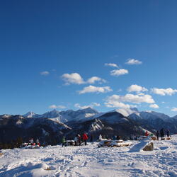 zdjecie w liście aktualnosci