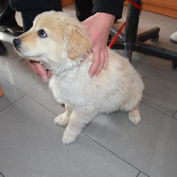 zdjecie w liście aktualnosci