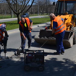zdjecie w liście aktualnosci