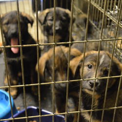 zdjecie w liście aktualnosci