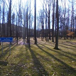 zdjecie w liście aktualnosci