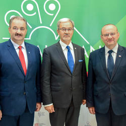 zdjecie w liście aktualnosci