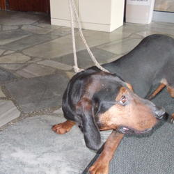 zdjecie w liście aktualnosci