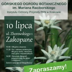 zdjecie w liście aktualnosci