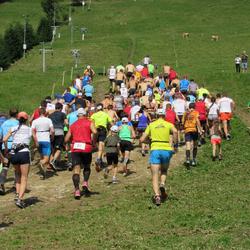 zdjecie w liście aktualnosci