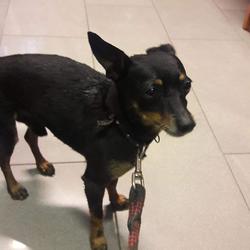 zdjecie w liście aktualnosci