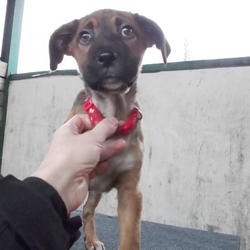 zdjecie w liście aktualnosci