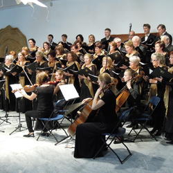 zdjecie w liście aktualnosci