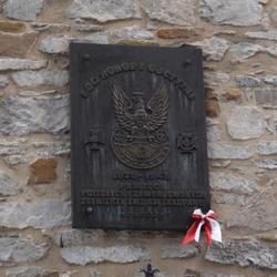 zdjecie w liście aktualnosci