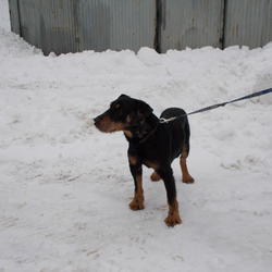 zdjecie w liście aktualnosci