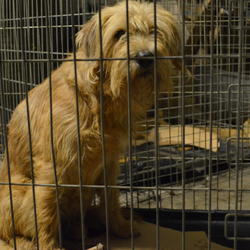 zdjecie w liście aktualnosci