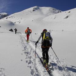 zdjecie w liście aktualnosci