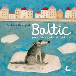 zdjecie w liście aktualnosci