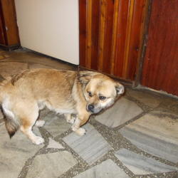 zdjecie w liście aktualnosci