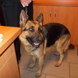 zdjecie w liście aktualnosci