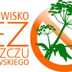 zdjecie w liście aktualnosci