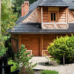 zdjecie w liście aktualnosci