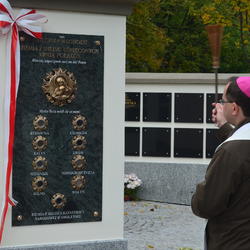 zdjecie w liście aktualnosci