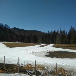zdjecie w liście aktualnosci