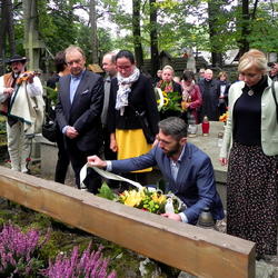 zdjecie w liście aktualnosci