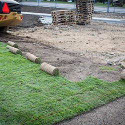 zdjecie w liście aktualnosci