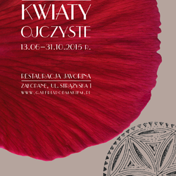 zdjecie w liście aktualnosci