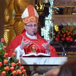 zdjecie w liście aktualnosci