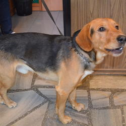 zdjecie w liście aktualnosci