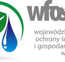 zdjecie w liście aktualnosci