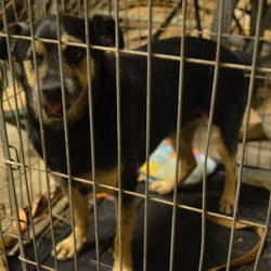 zdjecie w liście aktualnosci