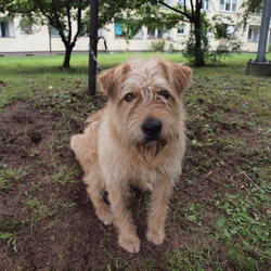 zdjecie w liście aktualnosci