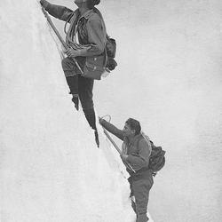 zdjecie w liście aktualnosci