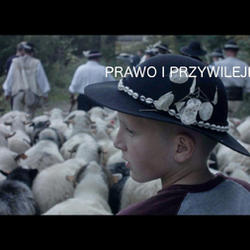 zdjecie w liście aktualnosci