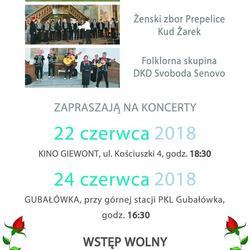 zdjecie w liście aktualnosci