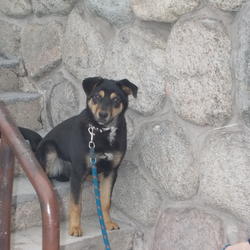 zdjecie w liście aktualnosci