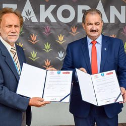 zdjecie w liście aktualnosci