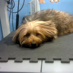 zdjecie w liście aktualnosci