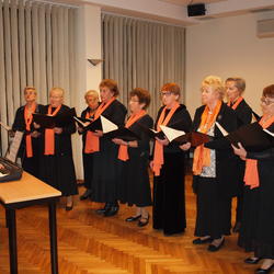 zdjecie w liście aktualnosci