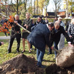 zdjecie w liście aktualnosci