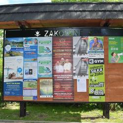 zdjecie w liście aktualnosci