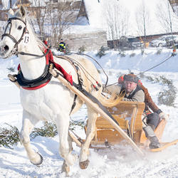 zdjecie w liście aktualnosci