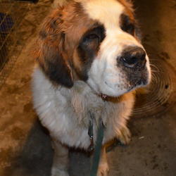 zdjecie w liście aktualnosci