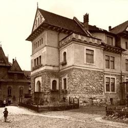 zdjecie w liście aktualnosci